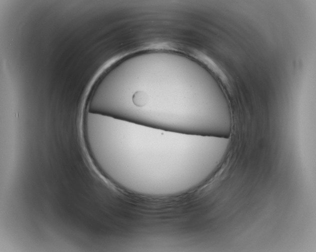 X0000115841331200911131058