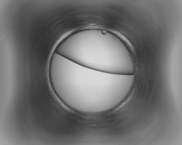 X0000115841333200911131058
