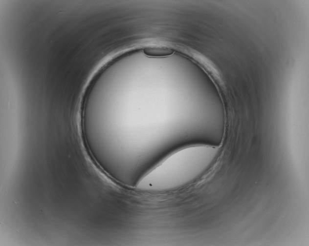 X0000115841334200911131058