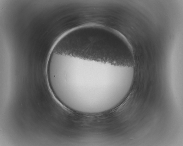 X0000115841335200911131058