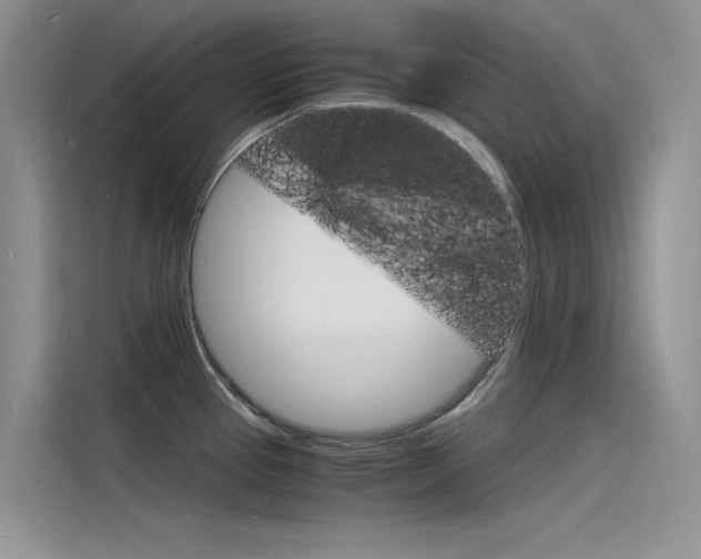 X0000115841337200911131058