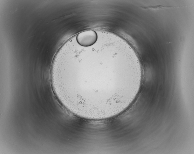 X0000115841338200911131059