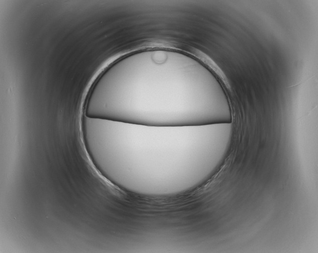 X0000115841339200911131059