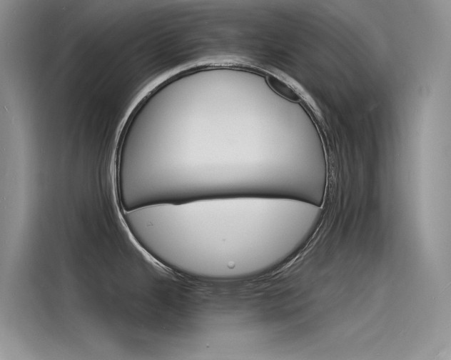 X0000115841343200911131059