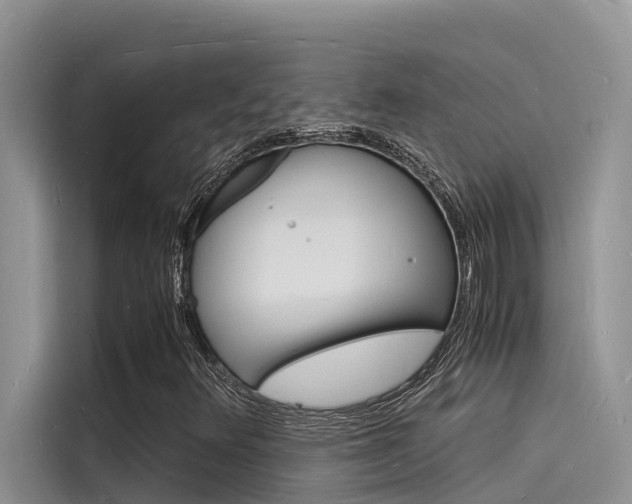 X0000115841348200911131058