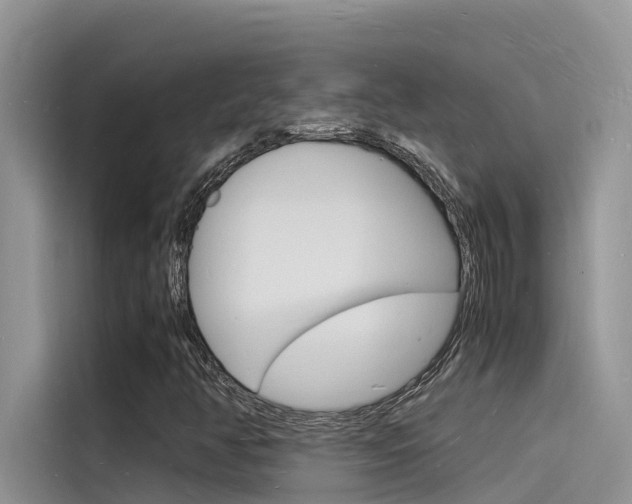X0000115841350200911131058