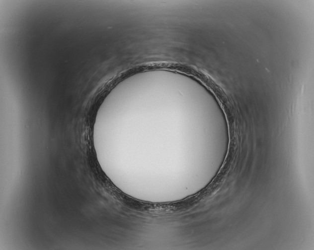 X0000115841351200911131058