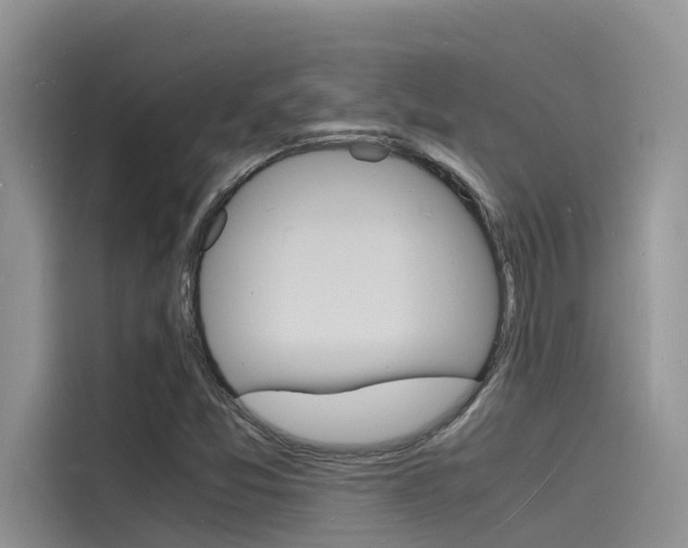 X0000115841357200911131058