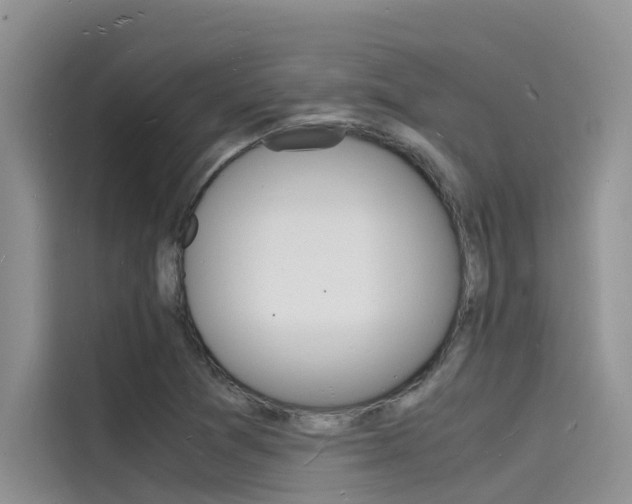 X0000115841361200911131058