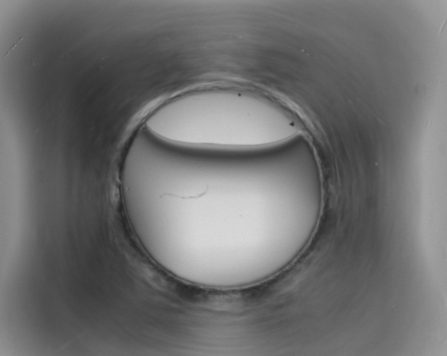 X0000115841363200911131058