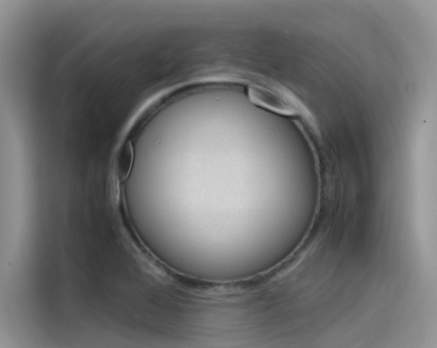 X0000115841368200911131058