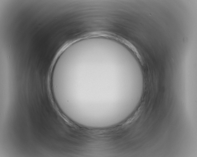 X0000115841373200911131058