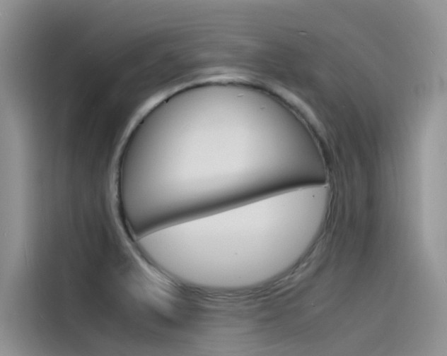 X0000115841375200911131058