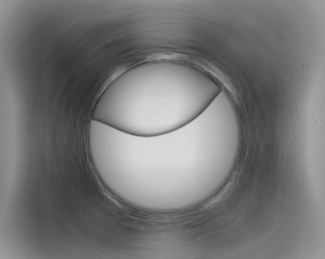 X0000115841377200911131058