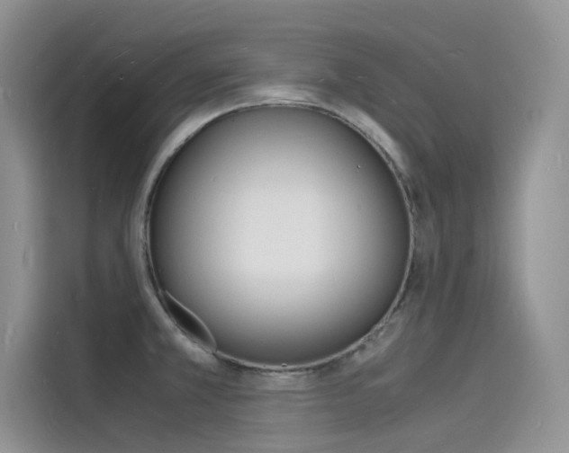 X0000115841381200911131057