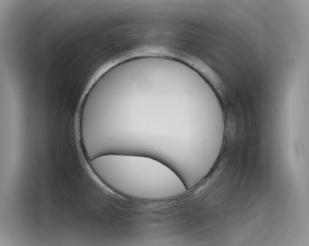 X0000115841382200911131057