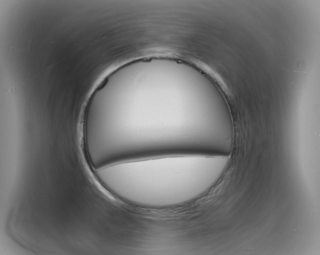 X0000115841383200911131057