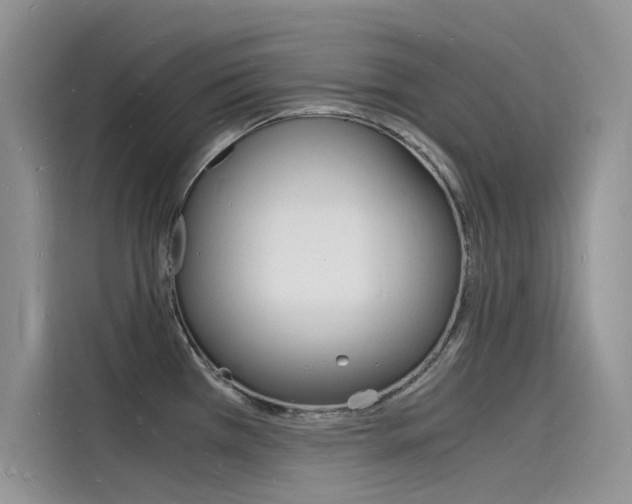 X0000115841385200911131057