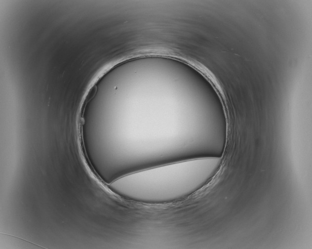 X0000115841389200911131057