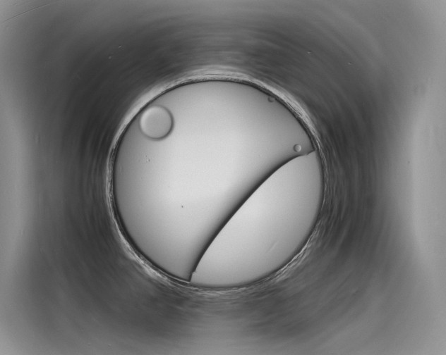 X0000115841390200911131057