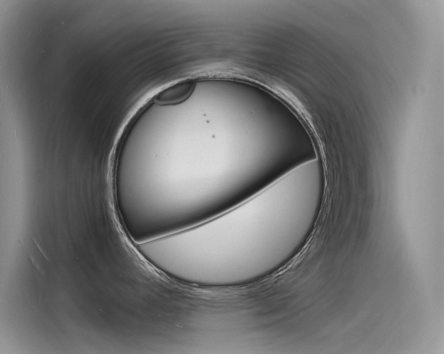 X0000115841392200911131057