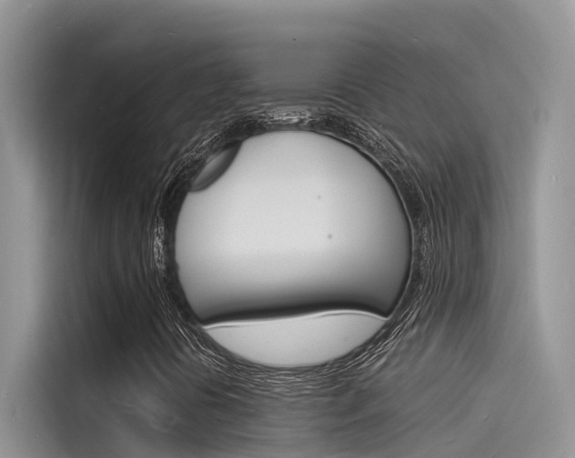 X0000115841394200911131057