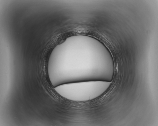 X0000115841396200911131057