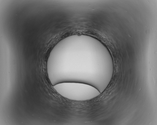 X0000115841397200911131057