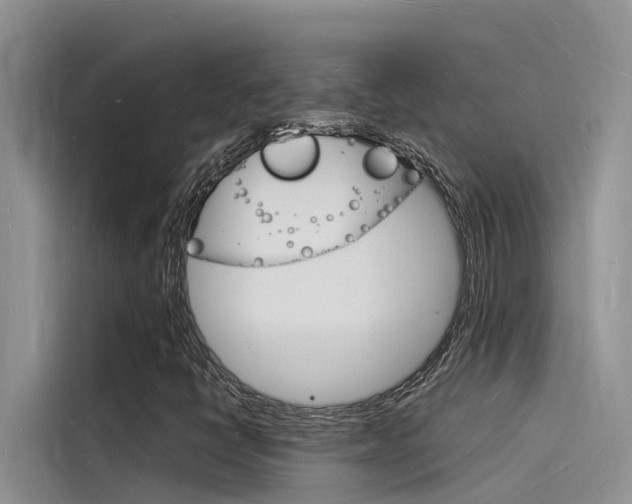 X0000115841398200911131057