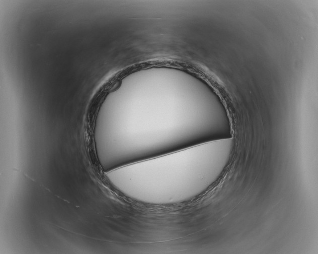 X0000115841400200911131057