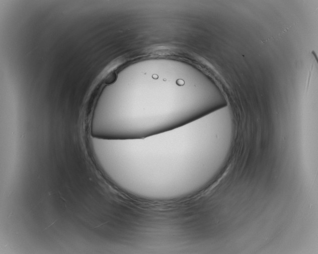X0000115841410200911131057