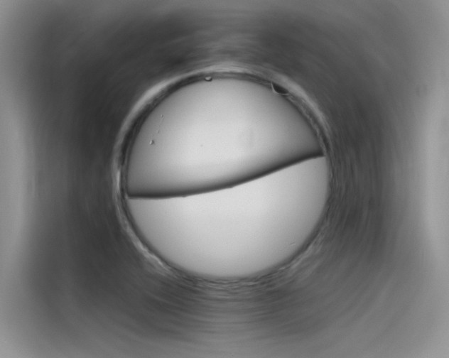 X0000115841416200911131057