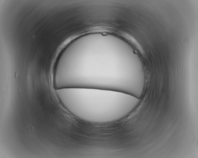 X0000115841419200911131057