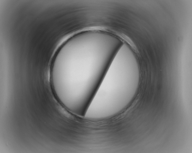 X0000115841420200911131057