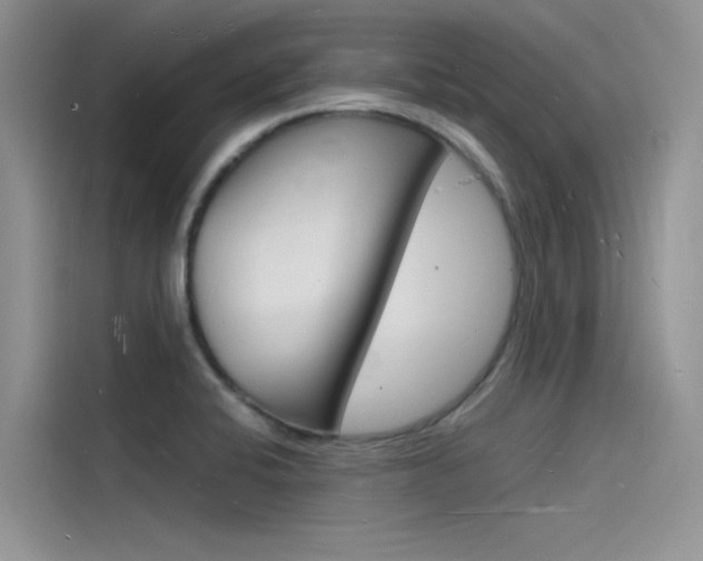 X0000115841424200911131057