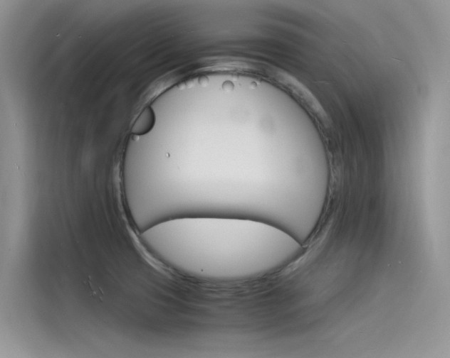 X0000115841425200911131057