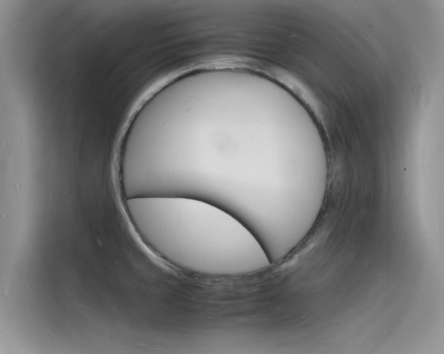 X0000115841429200911131057