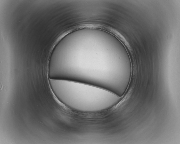 X0000115841433200911131057