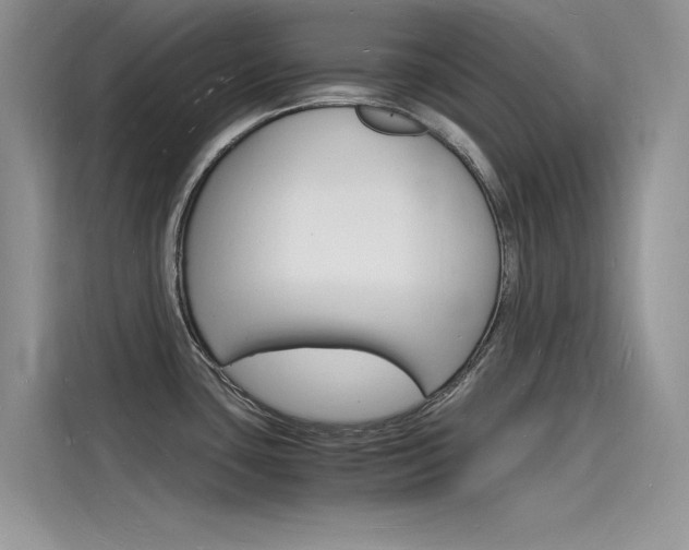 X0000115841435200911131057