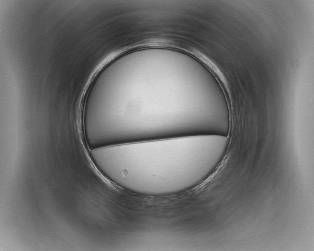 X0000115841437200911131057