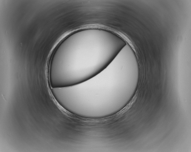 X0000115841438200911131057