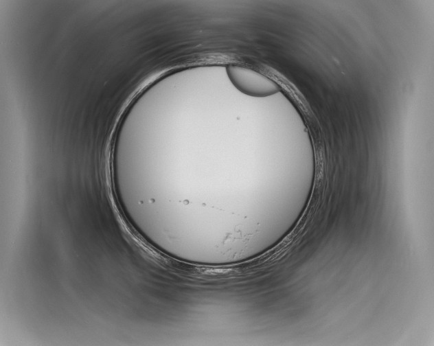 X0000115841439200911131057
