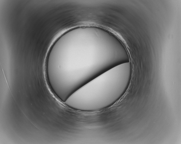 X0000115841440200911131057
