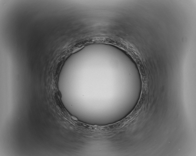 X0000115841445200911131057