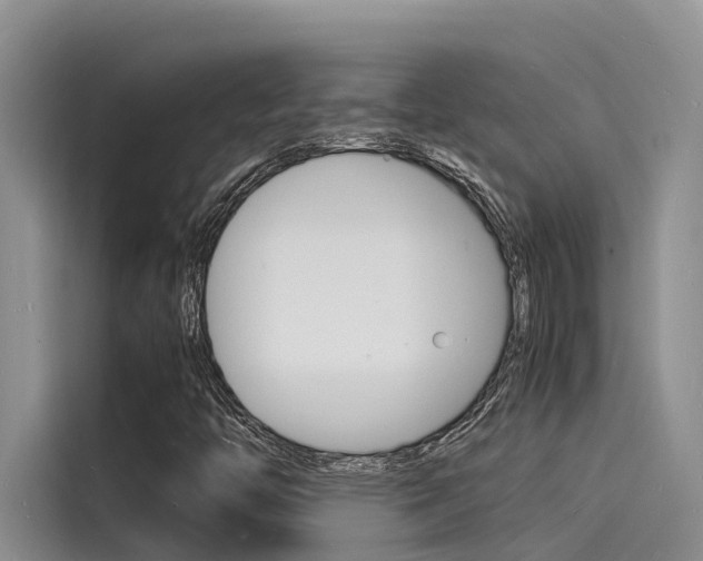 X0000115841446200911131057