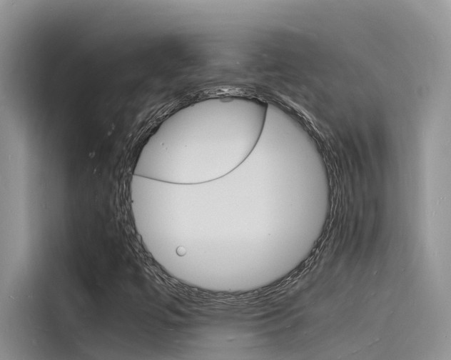X0000115841447200911131057