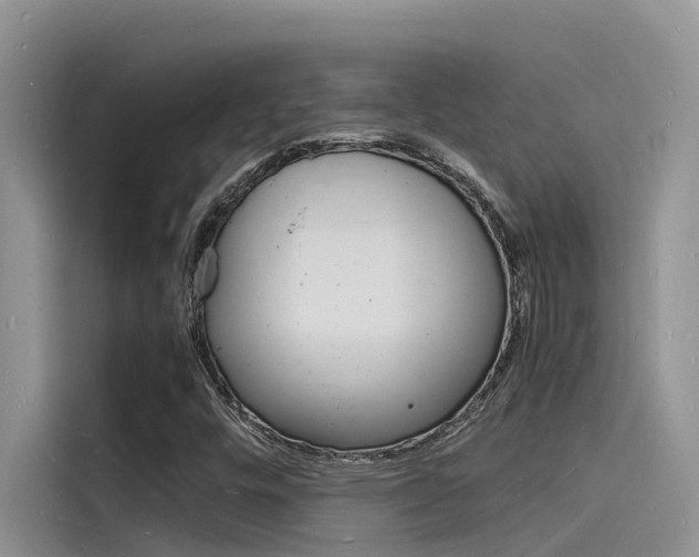 X0000115841448200911131057