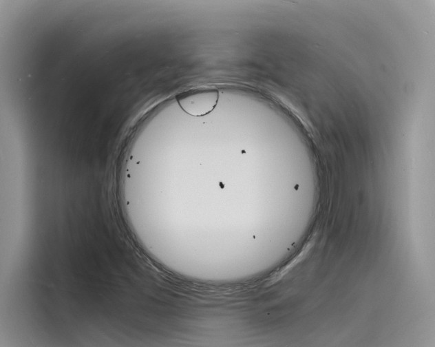 X0000115841453200911131057