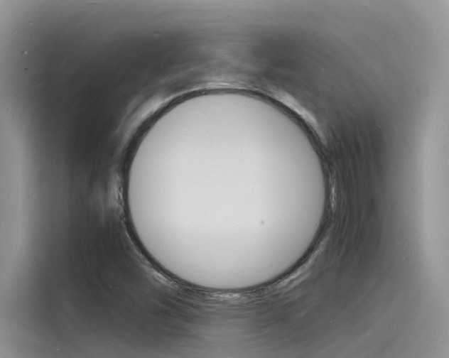 X0000115841454200911131057