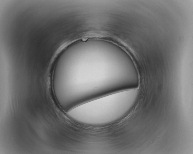 X0000115841459200911131056